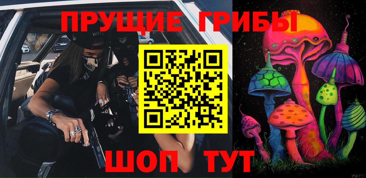 Фрязино  Псилоцибиновые грибы прущие грибы  Вход с VPN 