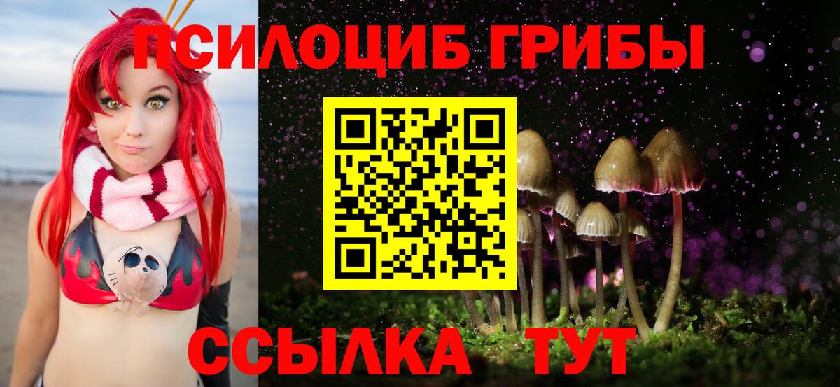 Галлюциногенные грибы Cubensis Фрязино